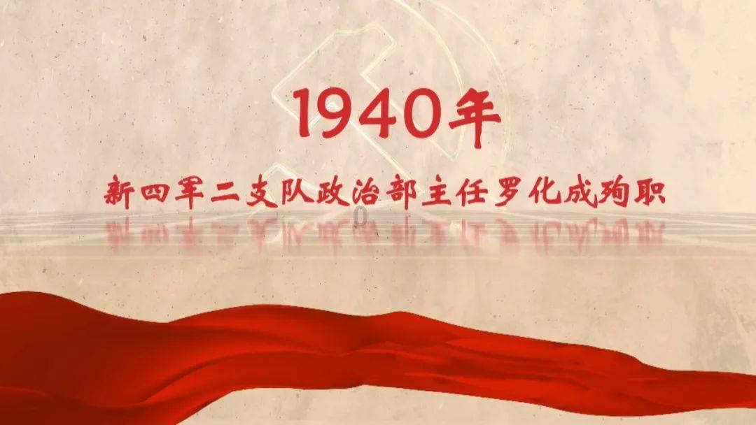 成人高考是专科还是本科？